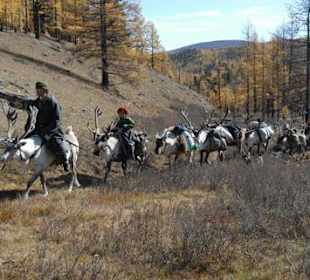 Départ vers nouveau campement