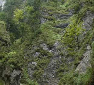 Beeindruckende Wanderung durch die Almbachklamm