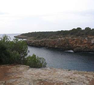 Hier wohnen viele Deutsche