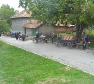 Warteplatz der Esel auf die Touristen