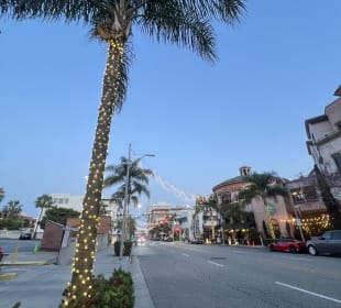 Stadtrundfahrt Beverly Hills