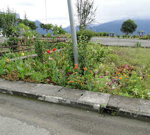 Ausflug Wildfife Expeditions- Rastplatz