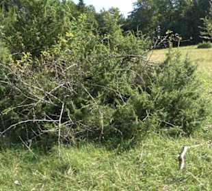 Premiumwanderweg "hochgesprudelt"