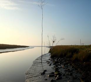Ausfahrt des Hafens in die Nordsee