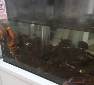 Strandpromenade Playa/Platja de Palma