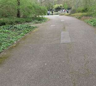 Schlossgarten Karlsruhe