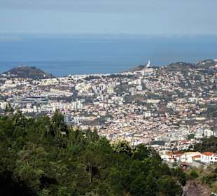 Blick von Blandy´s Garden nach Funchal