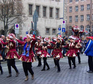 Nürnberger-Faschingsumzug 2014 