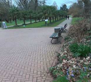 Flora und Botanischer Garten