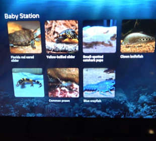 National Aquarium Malta