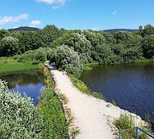Perlsee