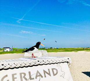 Strand Carolinensiel