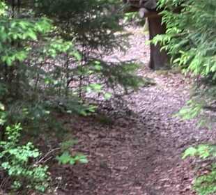 Hochseilgarten Hallwangen