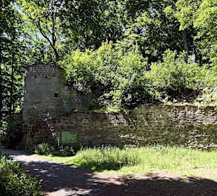 Burgruine auf dem Weg zum Turm