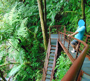 La Paz Waterfall Gardens
