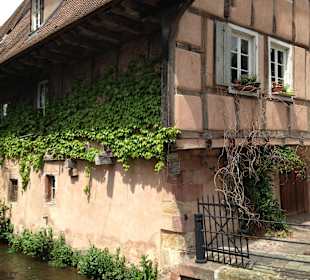 Wissembourg Juni '13