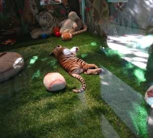 Kleiner Tiger hat Spaß