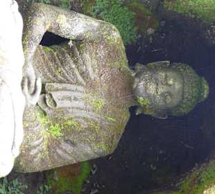 Buddha im Park am Wassertempel