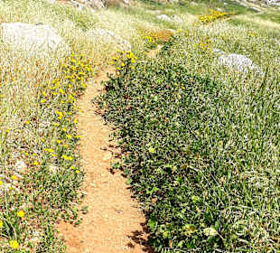 Nationalpark Kap Greco