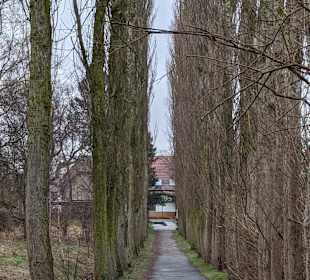 Wandern Diedrichshagen