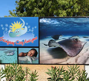 Am Eingang des Geländes.