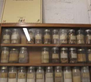 Spicy's Gewürzmuseum