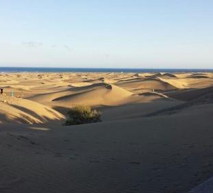 Dünenaussicht von der Strandpromenade! 