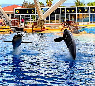 Loro Parque 