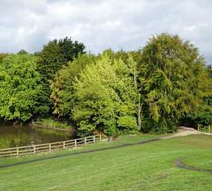 Spaziergang durch den Mühlenkamp-Park