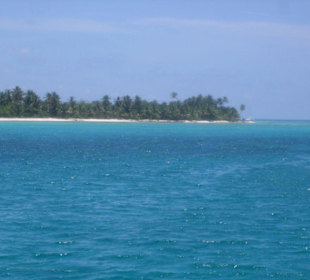 Isla Saona