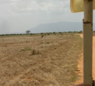 Tsavo Ost