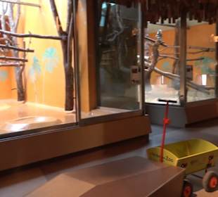 Tierpark Hellabrunn - Welt der Affen