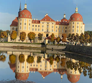Schloss Moritzburg 