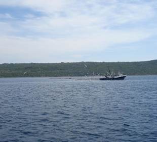 Fischaufzuchtsstadion