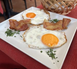 Gastro