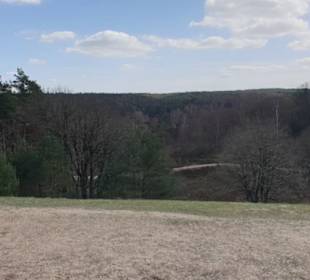 Fischbecker Heide Wanderwe 6