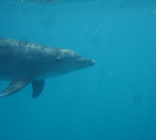 Wunderschöner Ausflug mit SimSim Reisen