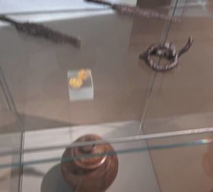 Museum für Vor- und Frühgeschichte