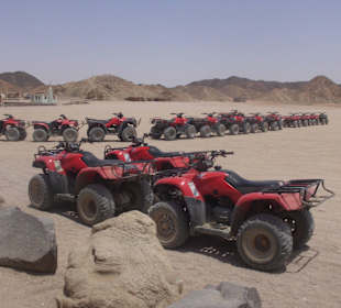Quad Tour
