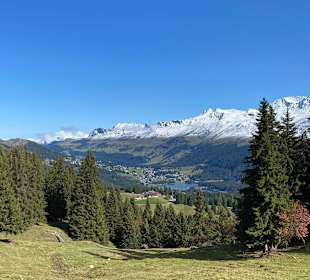 Lenzerheide Wandern 