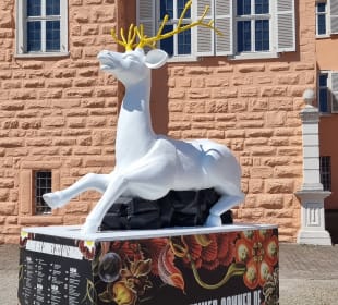 Eingang im Schlossbereich