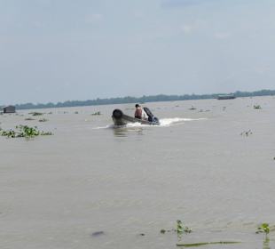 Ausflug Mekong Delta / Vietnam