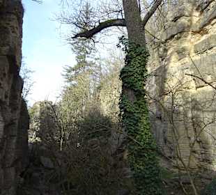 In den Felsengärten