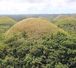 Chocolate Hills
