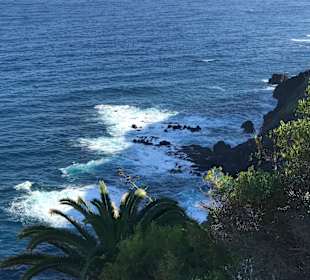 Wandern Puerto de la Cruz