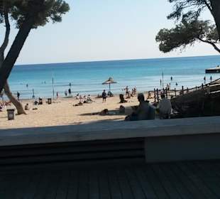 Strandabschnitt im Mai noch ganz leer