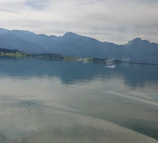 Forggensee