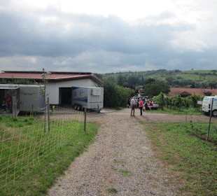 Kulinarische Weinbergswanderung
