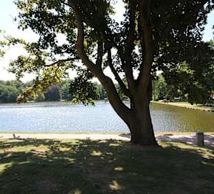 Der Mühlenteich am Dom