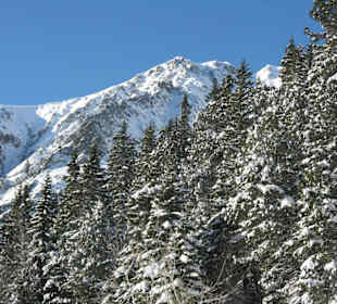 Popradské Pleso